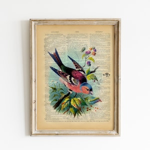Puede incluir: Una página de diccionario vintage con una ilustración colorida de un pájaro posado en una rama con flores y hojas. El texto en la página dice "DICTIONARY PAGE 112 NOTABLE".