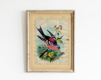 Vintage Dictionary Print - Colorful Rainbow Bird - Vintage Book Art Print - Woodland Natural History Upcycled Book Art