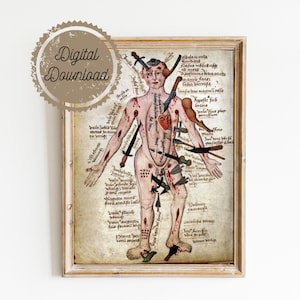 Digital Download - Vintage Medical Illustration - Wound Man - Antique Anatomical Diagram - Medieval Gothic Spooky Surreal Skeleton