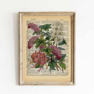 Druck: Blumen auf edler Vintage-Buchseite