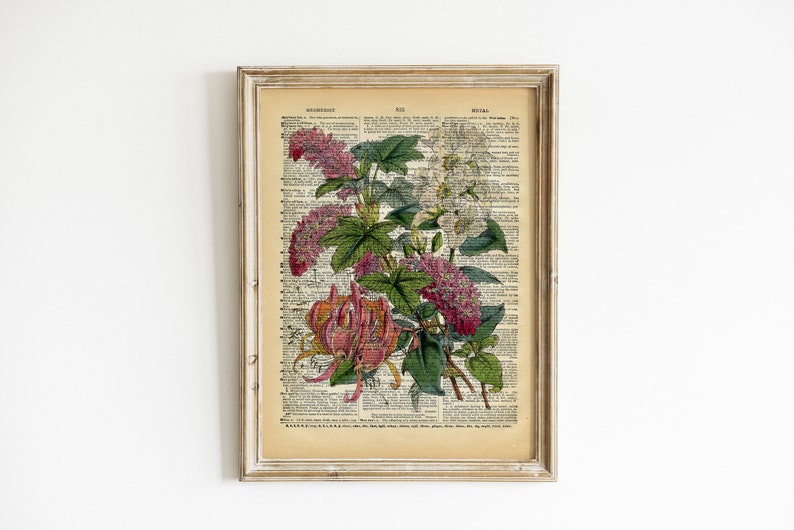 Flowers on Vintage Book Page Colourful Floral Art Print Upcycled Antique Book Print Natural History Botanical Print image 1