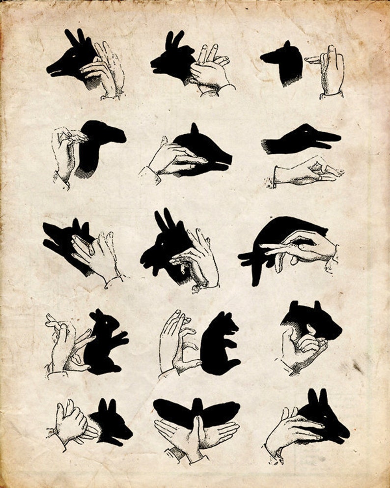 shadow puppets card shadow puppets card