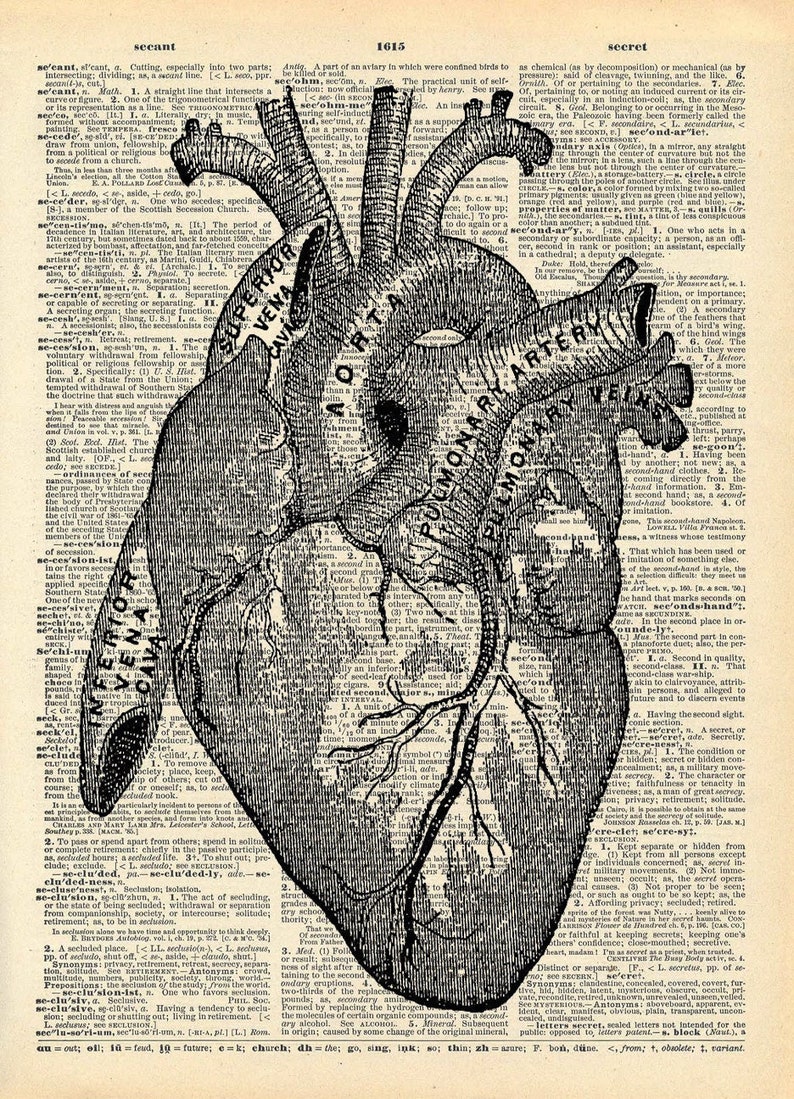 Vintage Book Art Print Anatomical Heart Art Upcycled Book Print Love Heart Anatomical Medical Diagram Dictionary Art Print image 2