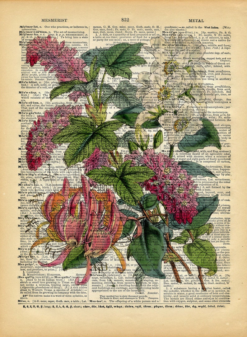 Flowers on Vintage Book Page Colourful Floral Art Print Upcycled Antique Book Print Natural History Botanical Print image 2