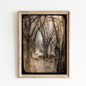 Fairytale Forest Photo Dreamy Fine Art Woodland Photograph Print Surreal Sepia Brown Vintage Photo image 1