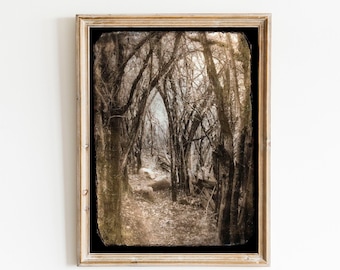 Fairytale Forest Photo - Dreamy Fine Art Woodland Photograph Print -Surreal Sepia Brown Vintage Photo