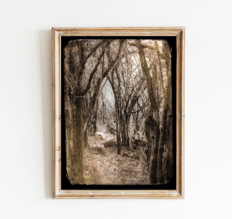 Fairytale Forest Photo Dreamy Fine Art Woodland Photograph Print Surreal Sepia Brown Vintage Photo image 1