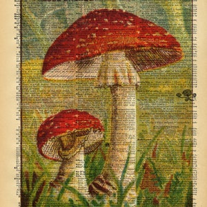Vintage Book Art Mushroom Print Natural History Wall Art Upcycled Antique Book Print French Vintage Nature Illustration image 2
