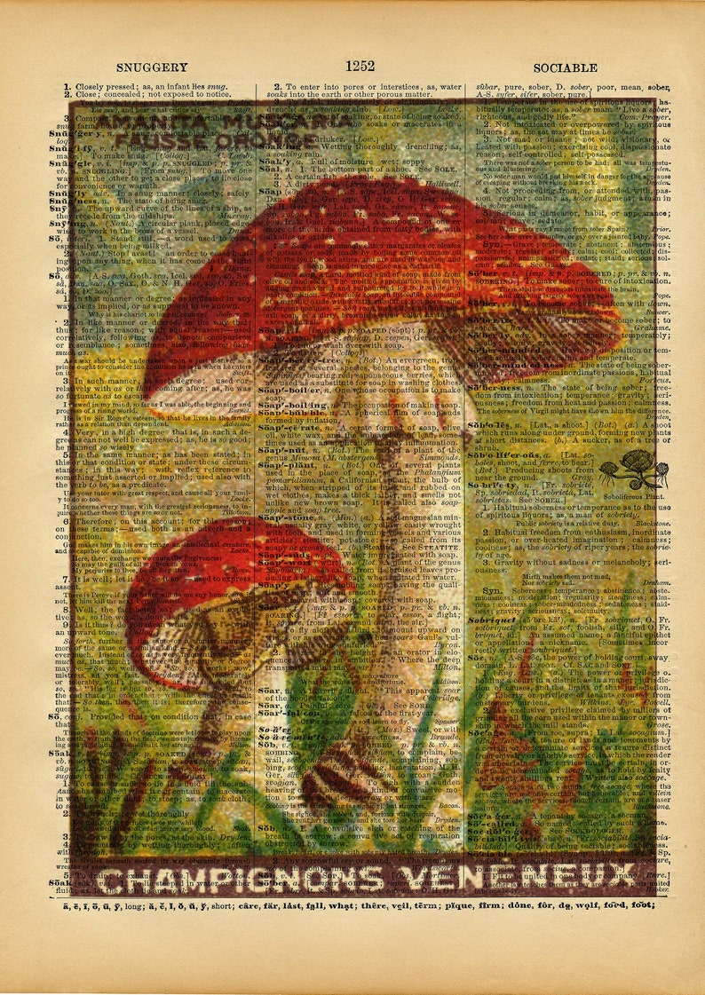 Vintage Book Art Mushroom Print Natural History Wall Art Upcycled Antique Book Print French Vintage Nature Illustration image 2