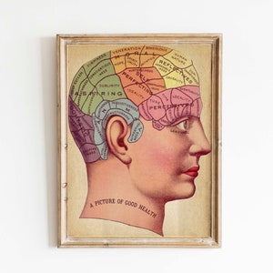 Vintage Surreal Print Phrenology Chart Antique Medical Illustration Fortune Telling Occult Anatomical Head Skull Gothic Dark image 1