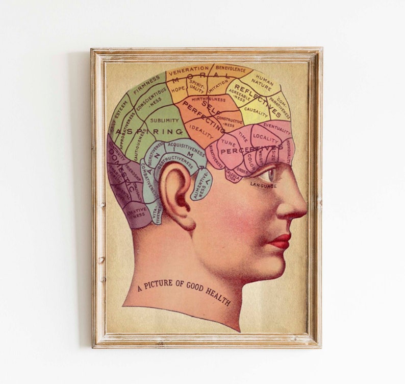 Vintage Surreal Print Phrenology Chart Antique Medical Illustration Fortune Telling Occult Anatomical Head Skull Gothic Dark image 1