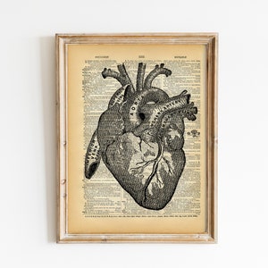 Vintage Book Art Print Anatomical Heart Art Upcycled Book Print Love Heart Anatomical Medical Diagram Dictionary Art Print image 1