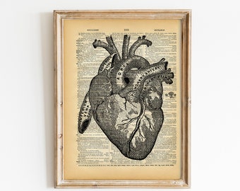 Vintage Book Art Print - Anatomical Heart Art - Upcycled Book Print - Love Heart - Anatomical Medical Diagram - Dictionary Art Print