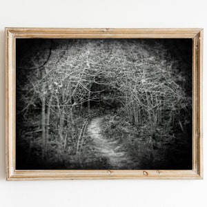 May include: Black and white photograph of a path through a forest. The path is lined with trees and branches, and the light is dim. The image is framed in a light wood frame.