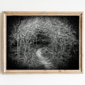 Haunted Forest Photo Gothic Fairytale Forest Print Spooky Halloween Decor Black and White Photography Landscape Photo image 1