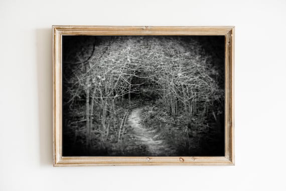 Haunted Forest Photo: Gothic Black and White Landscape Print