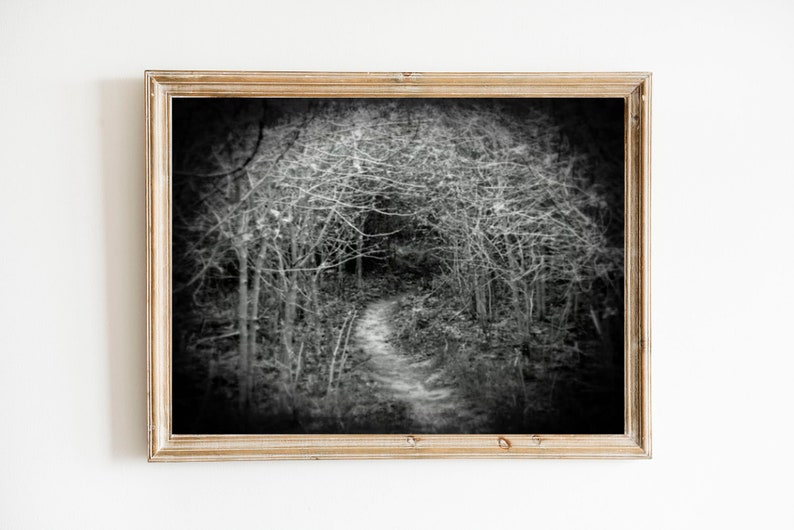 May include: Black and white photograph of a path through a forest. The path is lined with trees and branches, and the light is dim. The image is framed in a light wood frame.