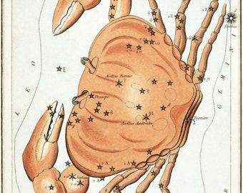 Vintage Constellations Print "Cancer", The Crab, Zodiac Horoscope Art, Natural History, Surreal, Sea Ocean Water Sign