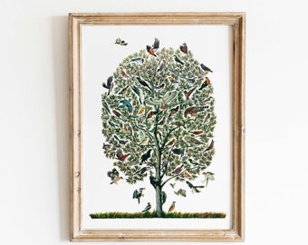 Vintage Feather Print - Tree of Birds - Natural History Antique Illustration - Bird Still Life Curiosity Woodland