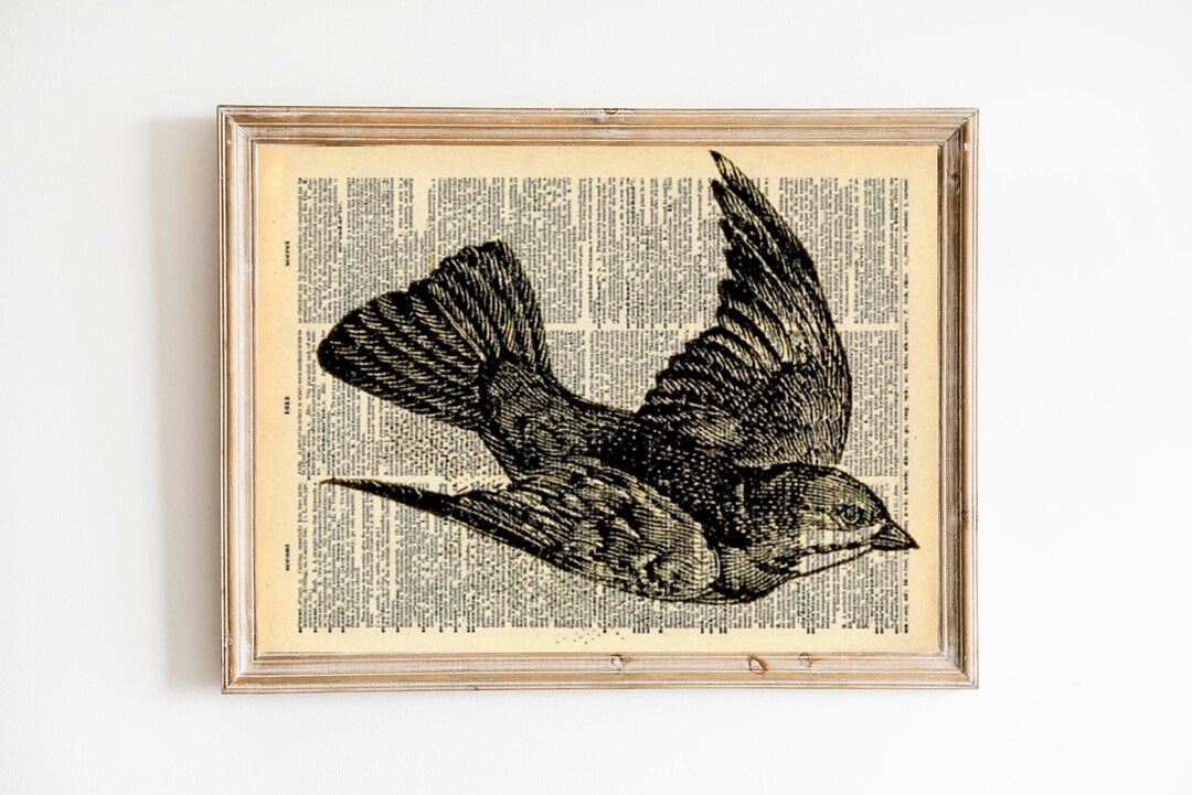 アート・デザイン・音楽 CLASSIC NATURAL HISTORY PRINTS BIRDS 11 Natural History Bird Prints! - The Graphics Fairy