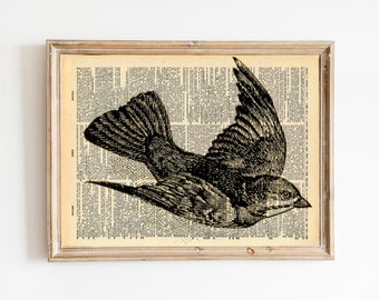 Vintage Bird Print - Recycled Antique Book Art - Natural History Bird Illustration - Bird Feathers Dictionary Print