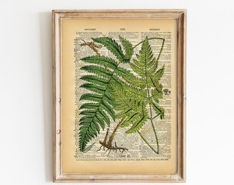 Vintage Book Print - Botanical Fern Art - Upcycled Antique Book Print - Natural History Floral Art Print