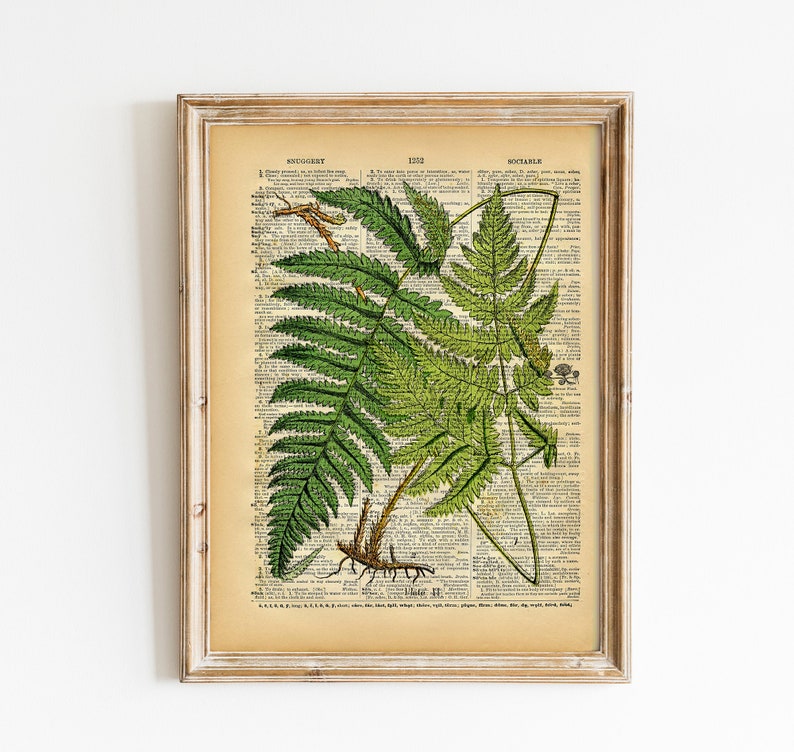 Vintage Book Print Botanical Fern Art Upcycled Antique Book Print Natural History Floral Art Print image 1