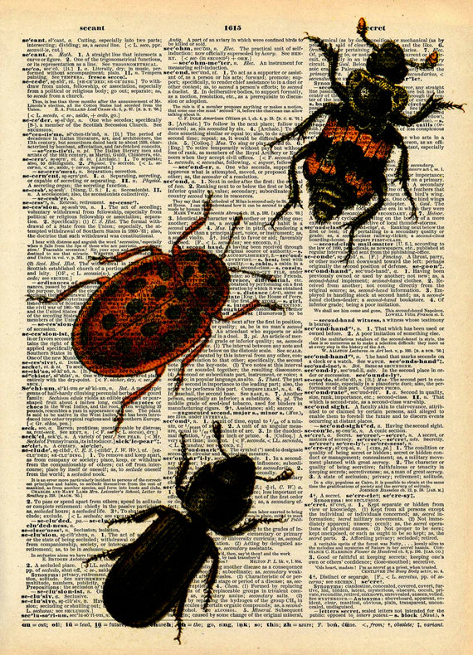 Vintage Book Print Bugs Insects Art Upcycled Antique Book Etsy