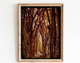 Surreal Woodland Photo - Fine Art Woodland Photograph Print - Dark Woods Fairy Tale Art - Autumn Fall Haunted Forest