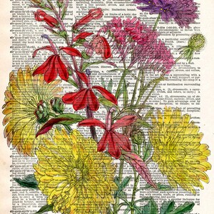 Flowers on Vintage Book Page Colourful Floral Art Print Upcycled Antique Book Print Natural History Botanical Print image 2