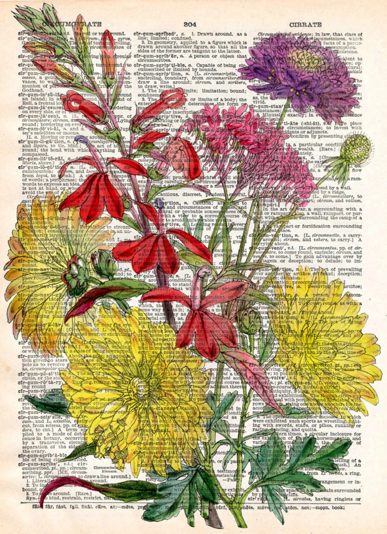 Flowers on Vintage Book Page Colourful Floral Art Print Upcycled Antique Book Print Natural History Botanical Print image 2