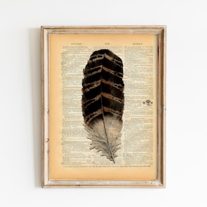 Vintage Feather Print: Upcycled Dictionary Art, Woodland Decor
