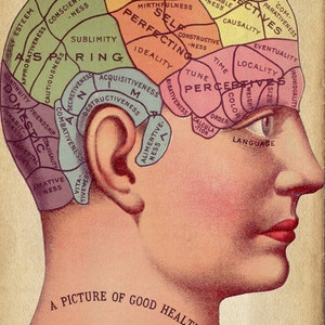 Vintage Surreal Print Phrenology Chart Antique Medical Illustration Fortune Telling Occult Anatomical Head Skull Gothic Dark image 2