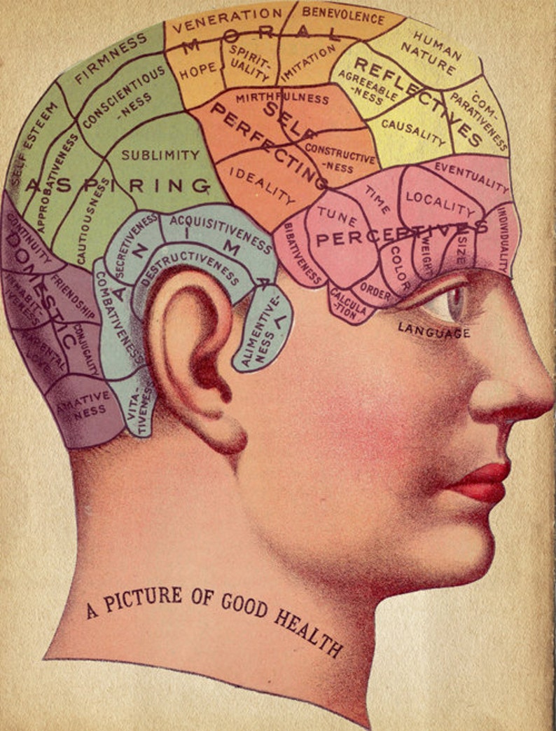 Vintage Surreal Print Phrenology Chart Antique Medical Illustration Fortune Telling Occult Anatomical Head Skull Gothic Dark image 2