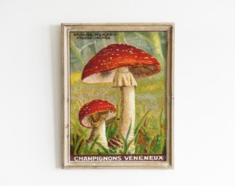 Vintage Mushroom Art - Unique Nursery Decor - Floral Fungi Wall Art Print - Pastel Woodland Decor