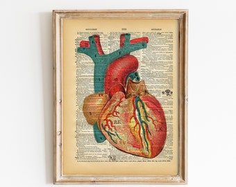 Vintage Book Art Print - Anatomical Heart Art - Upcycled Book Print - Love Heart - Anatomical Medical Diagram - Dictionary Art Print