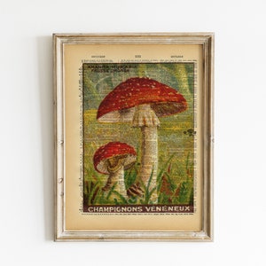 Vintage Book Art Mushroom Print Natural History Wall Art Upcycled Antique Book Print French Vintage Nature Illustration image 1