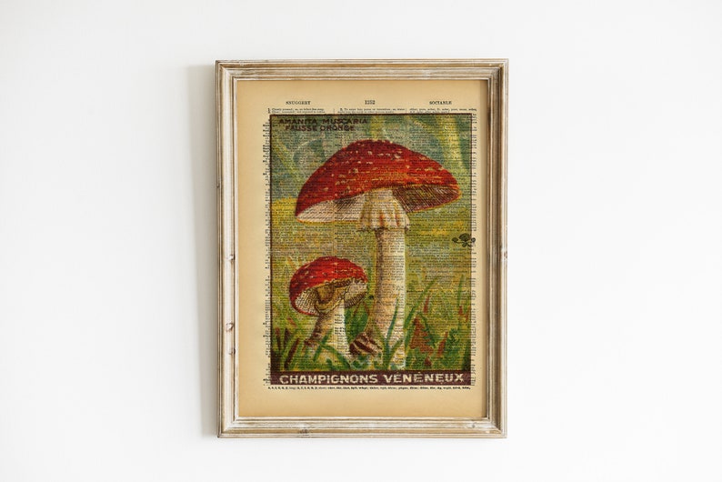 Vintage Book Art Mushroom Print Natural History Wall Art Upcycled Antique Book Print French Vintage Nature Illustration image 1
