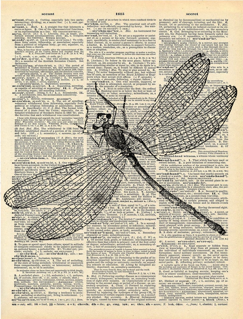 Antique Book Print Dragonfly Insect Art Print Art Nouveau Etsy