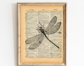 Antique Book Print - Dragonfly Insect Art Print - Art Nouveau Book Art Print - Natural History Insect Illustration - Elegant Victorian Art