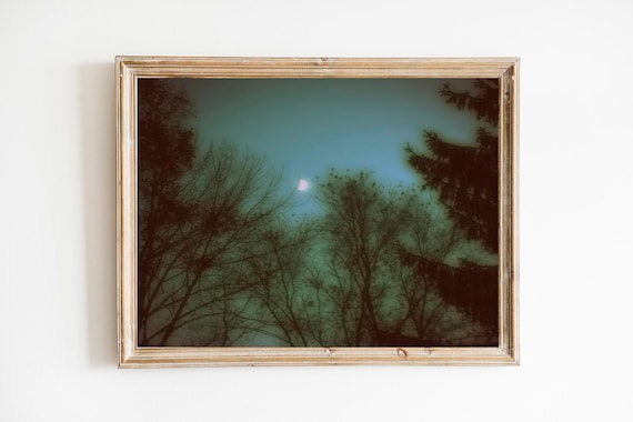 芸術写真 Nature Photograph Full Moon Art Print Nature Photograph Full Moon Art Print