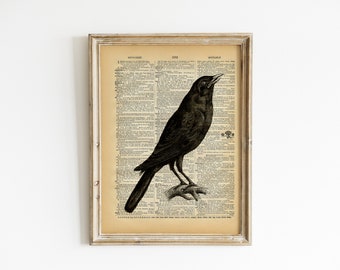 Vintage Book Art - Crow Print - Natural History Bird Art Print - Upcycled Antique Book Print - Spooky Gothic Bird Print