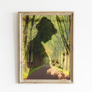 May include: A framed print of a silhouette of a person standing in a path lined with trees. The trees are green and yellow, and the path is a dirt road.