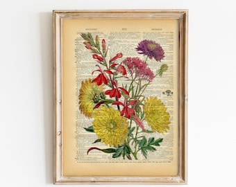 Flowers on Vintage Book Page - Colourful Floral Art Print - Upcycled Antique Book Print - Natural History Botanical Print