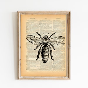 May include: Black and white illustration of a bee on a vintage dictionary page. The page has text about the word "sociable".