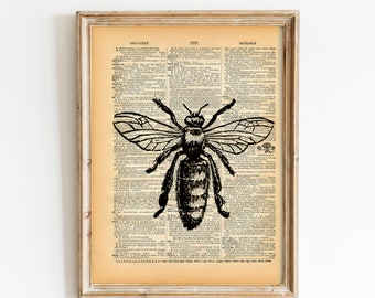 Bee Print - Vintage Dictionary Art Print - Natural History Insect Art - Upcycled Altered Art Book - Rustic Home Decor Print