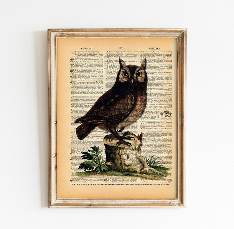 Owl Bird Art Print Vintage Book Print Upcycled Recycled Book Print Natural History Bird Illustration Woodland Animal Bird Art image 1