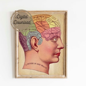 Digital Download - Vintage Surreal Art -Phrenology Chart - Antique Medical Illustration - Fortune Telling Occult Anatomical
