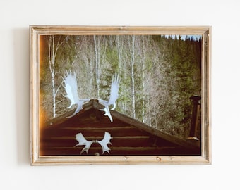 Woodland Antlers Photograph Print - Fairy Tale Forest Photo - Hunter Rustic Cabin - Film Photography