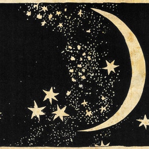 Moon and Stars Art Print Elegant Paper Cut Night Sky Black and White Sepia Natural History Papercut Illustration Outer Space Art image 2